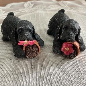 Pair of Playful Sandicast Black Cocker Spaniels